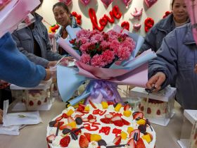 米兰（中国）举办三八妇女节活动